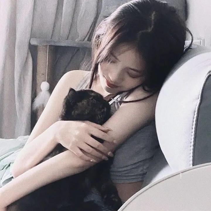 纳妾记第二季